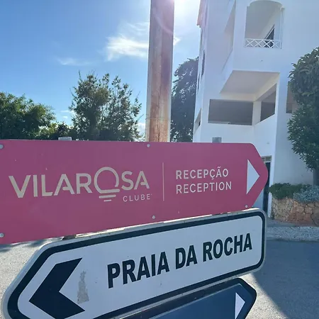 Rosa Vinte